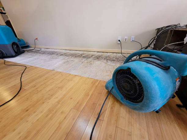 Reliable Basement Flood Cleanup contractor in Fort Atkinson, WI by Hirex Water Damage